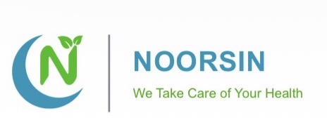 Noorsin logo
